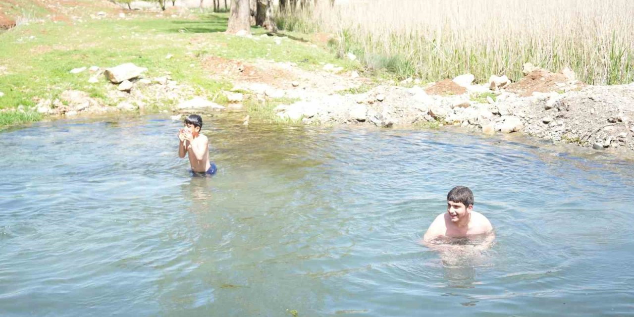 Muşlu çocuklar soğuğa aldırmadı: Titreye titreye gölette yüzdüler