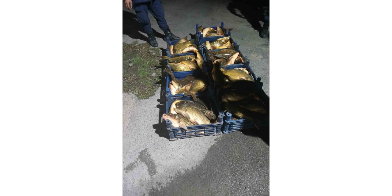 Elazığ’da kaçak avlanılan 210 kilo balık ele geçirildi