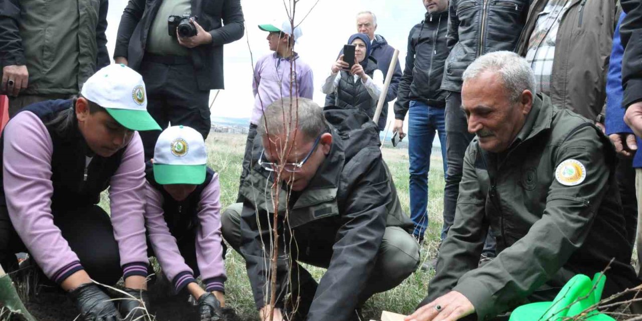 Kars’ta meyve ağaçları toprakla buluştu