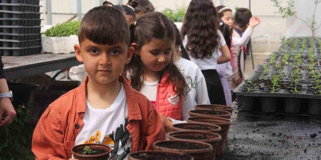 Minik öğrenciler seralarda doğayla buluştu