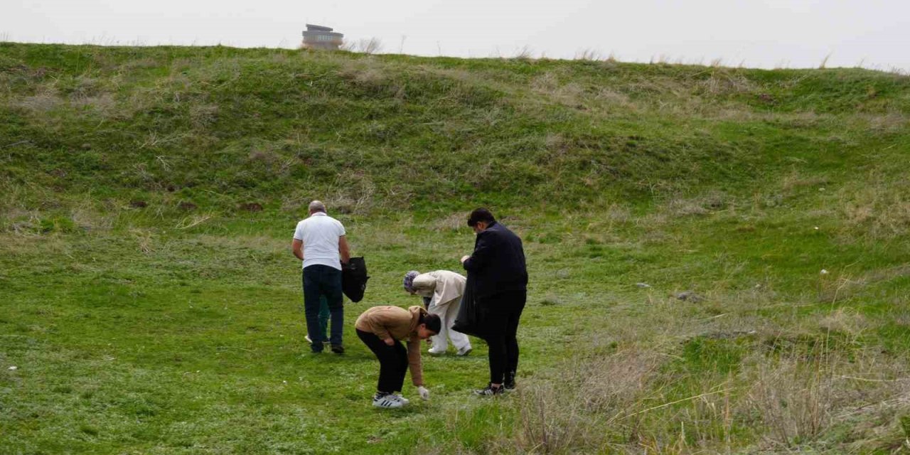 Tabyalarda bahar temizliği
