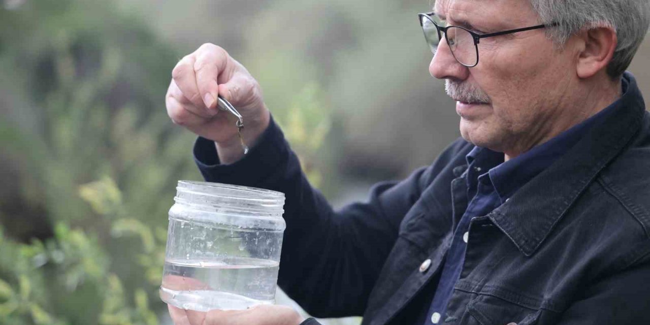 Fırat Üniversitesinden bilim dünyasına katkı: Elazığ’da yeni sülük türleri keşfedildi