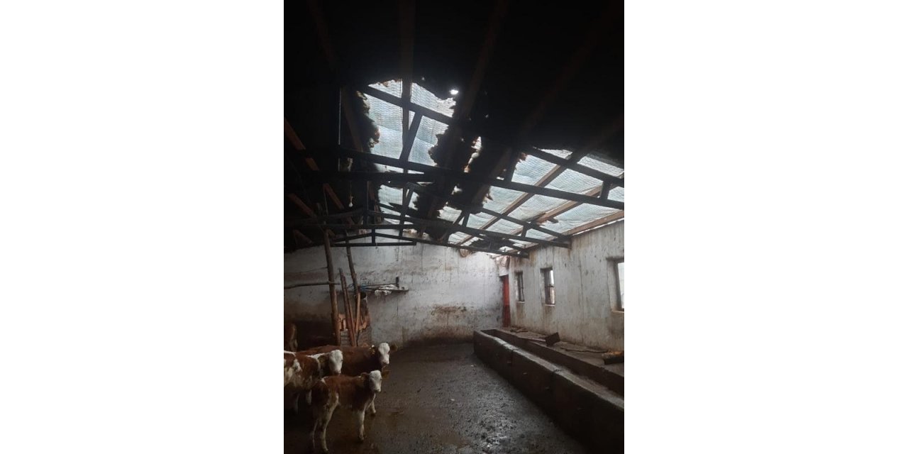 Elazığ’da etkili olan fırtına ahırın çatısını uçurdu