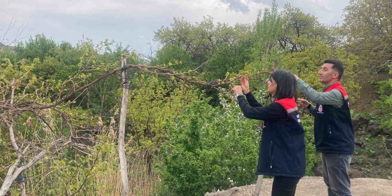 Kars’ta hasat öncesi pestisit kullanımı eğitimi