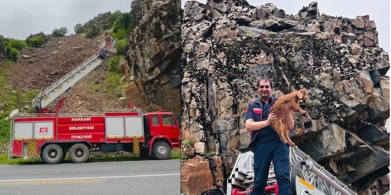 Hakkari’de kayalıklarda mahsur kalan keçi yavrusu kurtarıldı