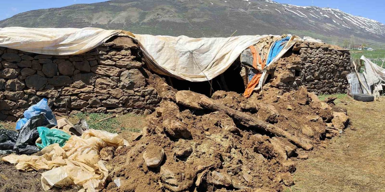 Bingöl’de fırtına ve sağanak nedeniyle ahır çöktü
