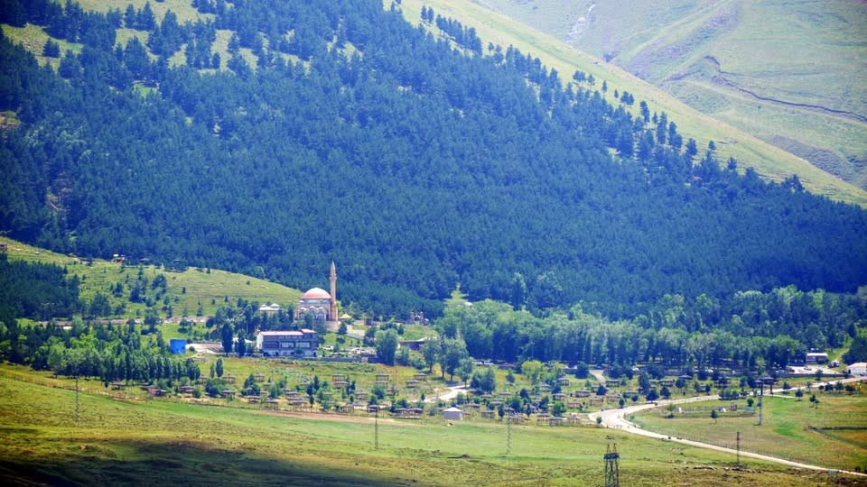 Erzurum’da "Orman Alanları, Ağaçlandırma ve Erozyon Kontrol Sahaları ile ilgili Valilik Genel Emri" yayınlandı