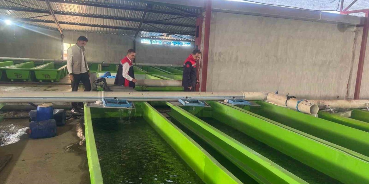 Uluköy’de yılda 15 milyon yavru üretiliyor