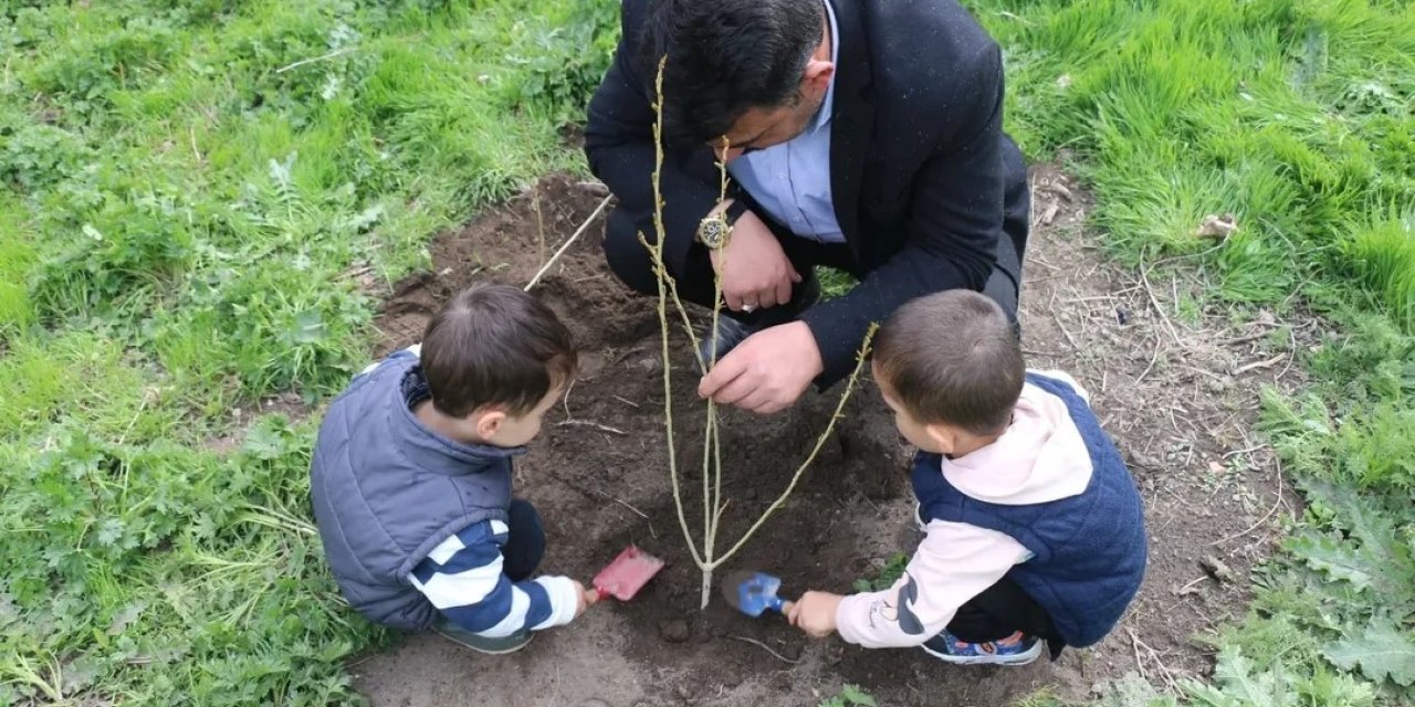 Camii bahçesi fidanlarla şenlendi