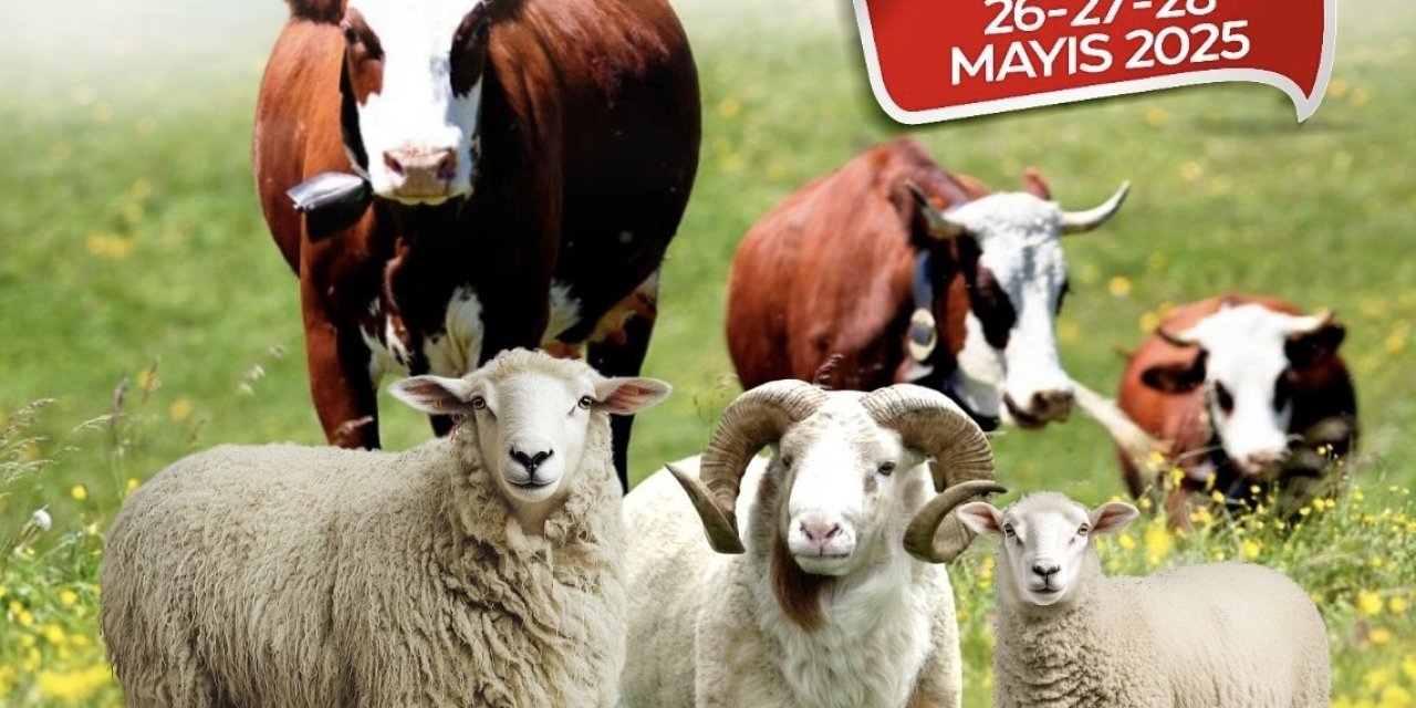 Malatya Büyükşehir Belediyesi’nden kurban kesim kursu