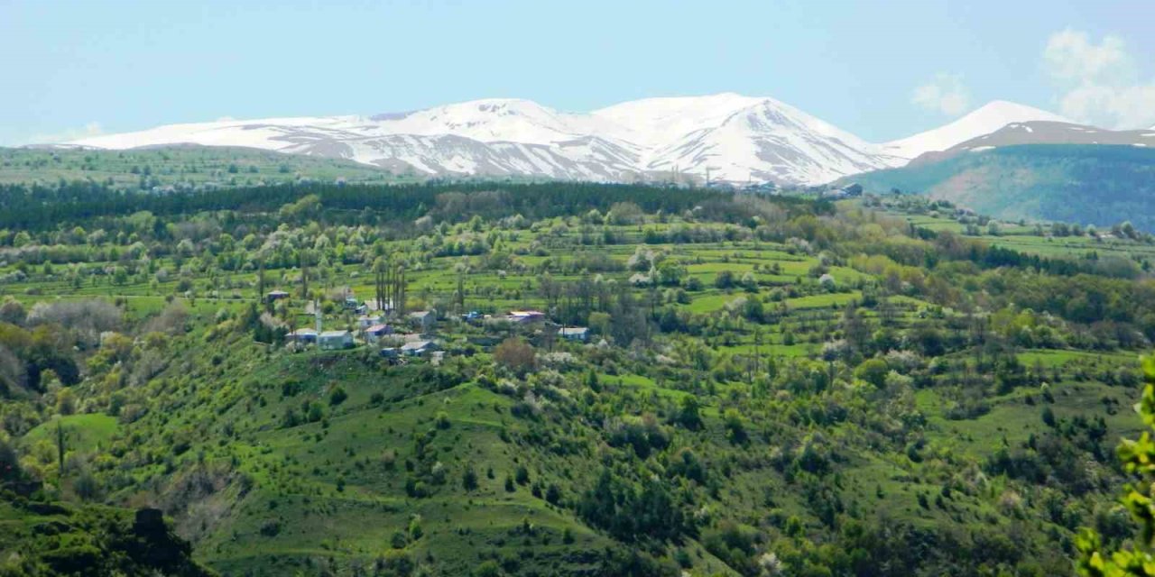 Posof’ta baharla gelen güzellikler