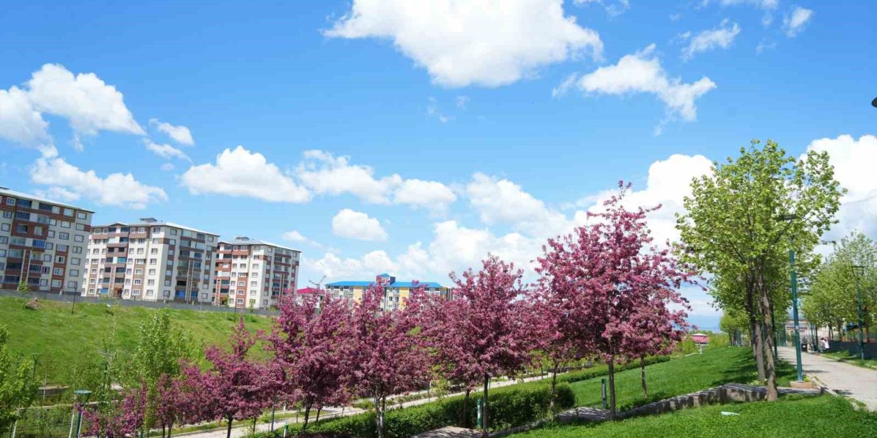 Muş’ta çiçek açan meyve ağaçları kartpostallık görüntüler oluşturdu