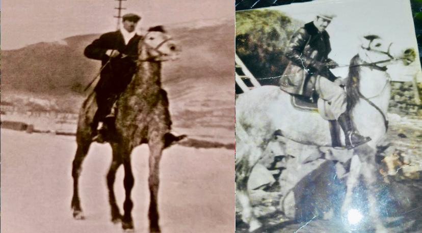 Göldalı’dan Koçköy’e, Bir Atın İzinde: Yavuz’un Hikâyesi