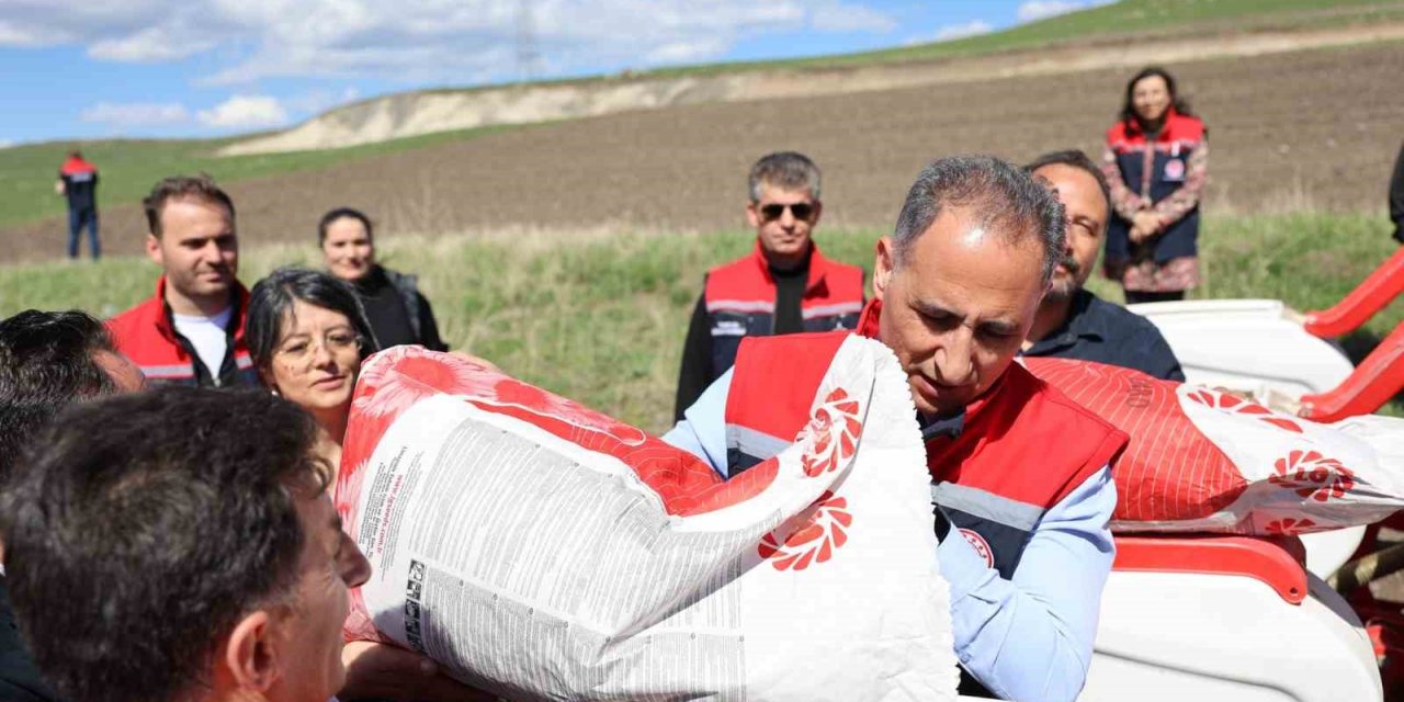 Kars’ta yağlık ayçiçeği üretimi artıyor