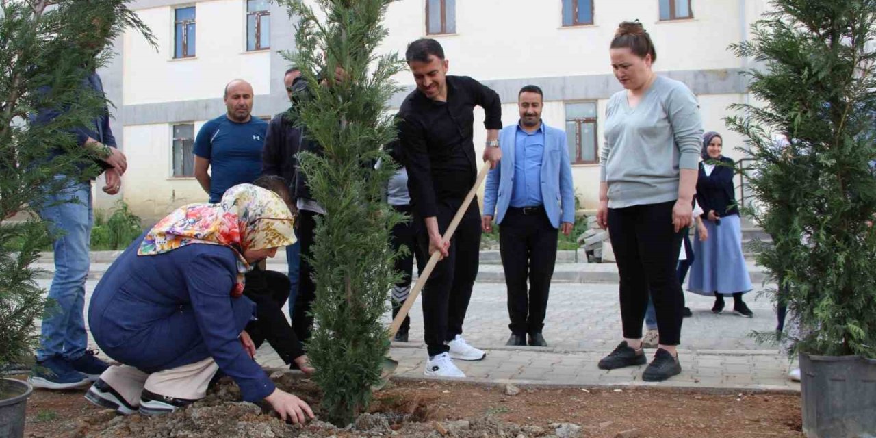 Hakkari’de fidan dikimi
