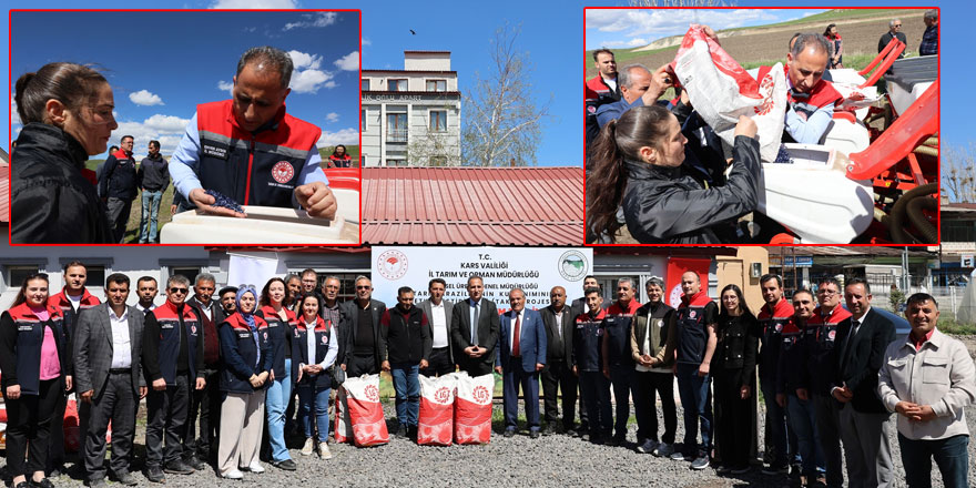 Kars’ta yağlık ayçiçeği desteği