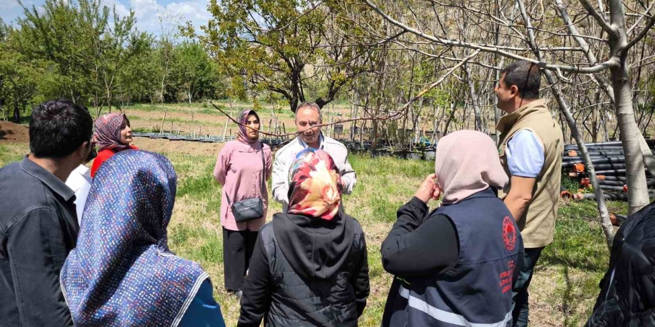 Zirai dona karşı sigorta yaptıran çiftçilerin zararları inceleniyor