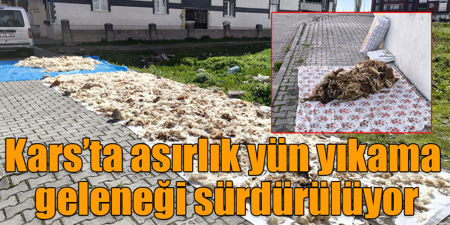 Kars’ta asırlık yün yıkama geleneği sürdürülüyor