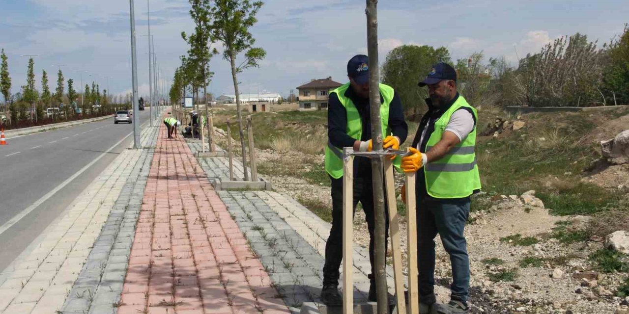 Van Büyükşehir Belediyesinden sahil yolunda çalışma