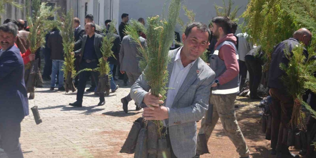 Bulanık’ta 5 bin çam fidanı dağıtıldı