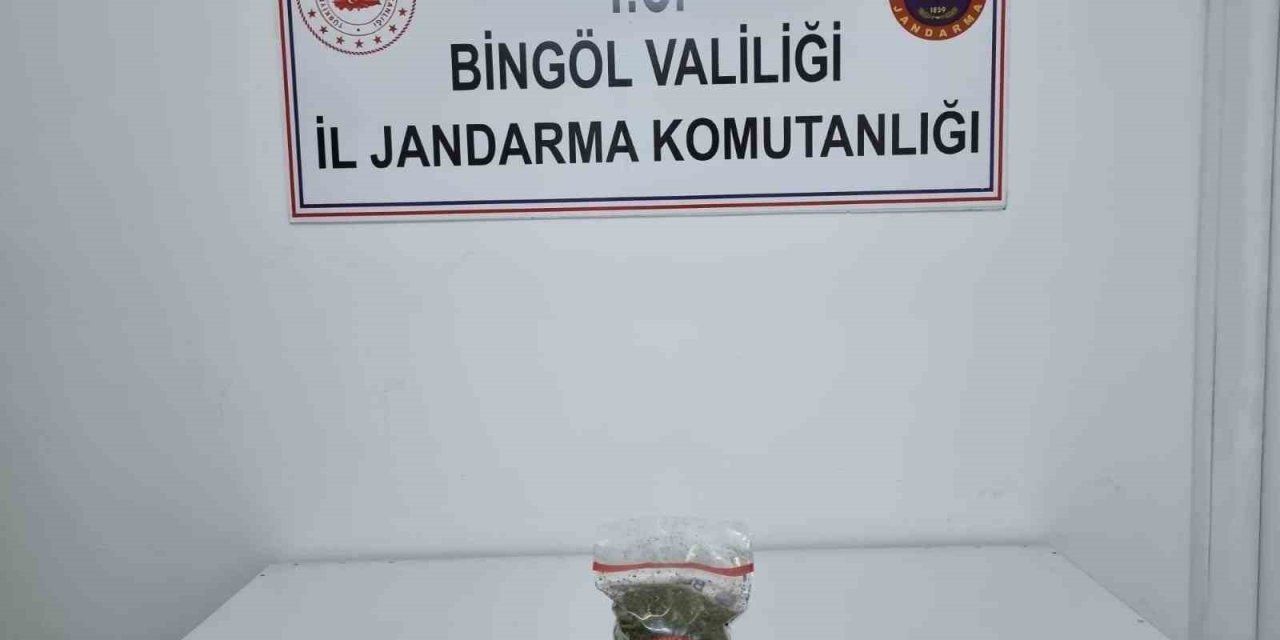 Genç’te uyuşturucu operasyonu
