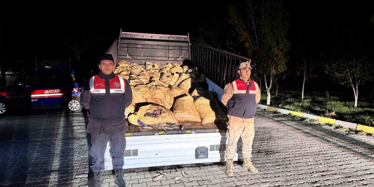 Van’da 3 ton 820 kilo kaçak avlanmış balık ele geçirildi