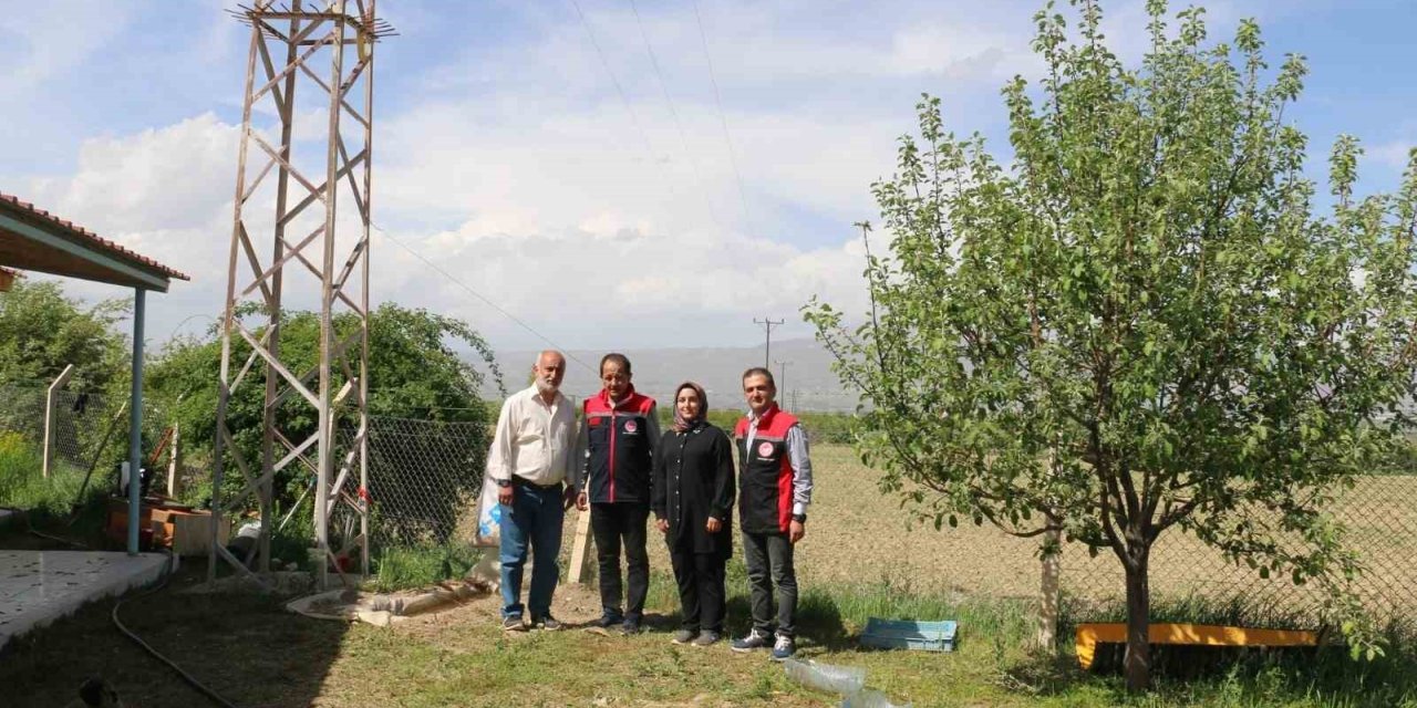 40 binin üzerinde ağaç diken Erzincanlı profesör, kazlarla biyolojik mücadele uyguluyor