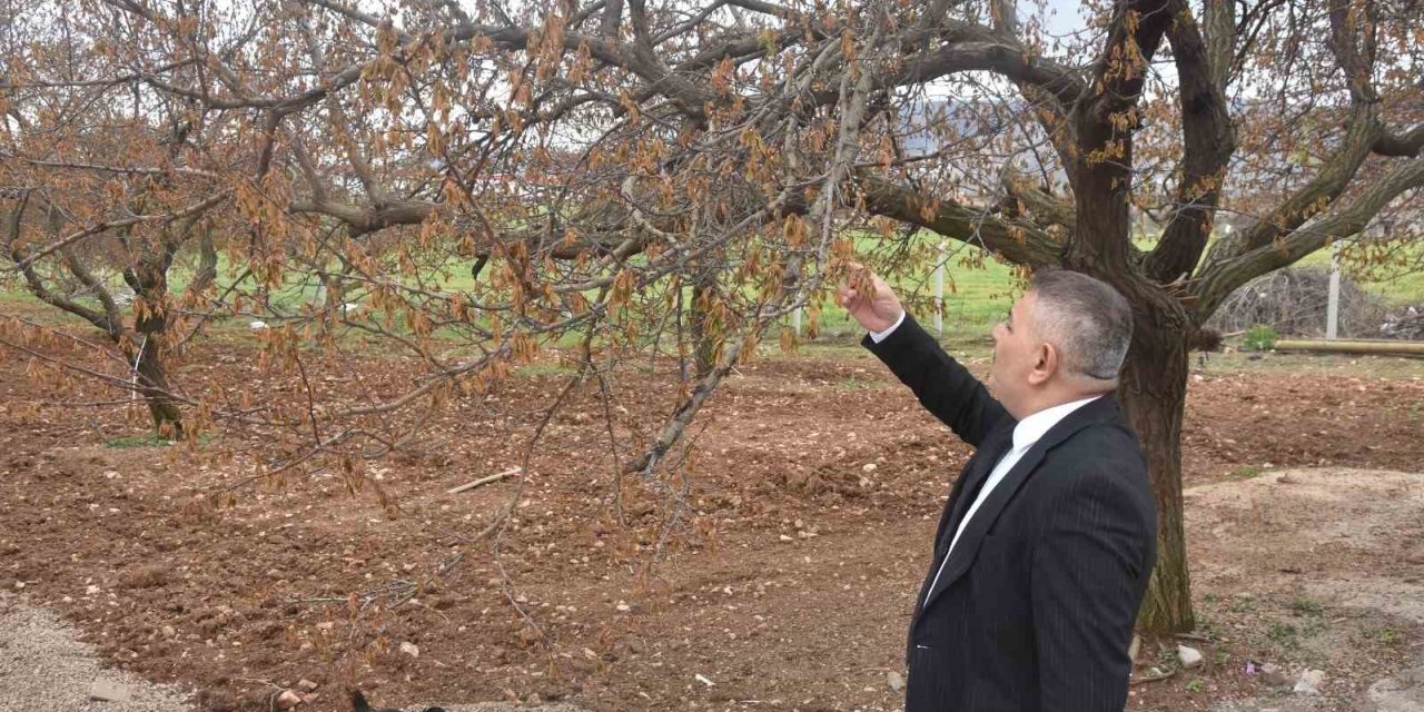 Sadıkoğlu: "Verilecek destekler sadece kayısıyı değil, şehrimizin geleceğini ilgilendiriyor"