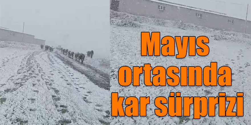 Mayıs ortasında kar sürprizi