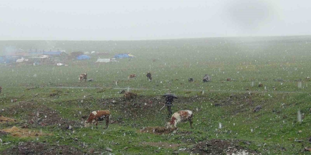 Kars’ta Mayıs karı şaşırttı