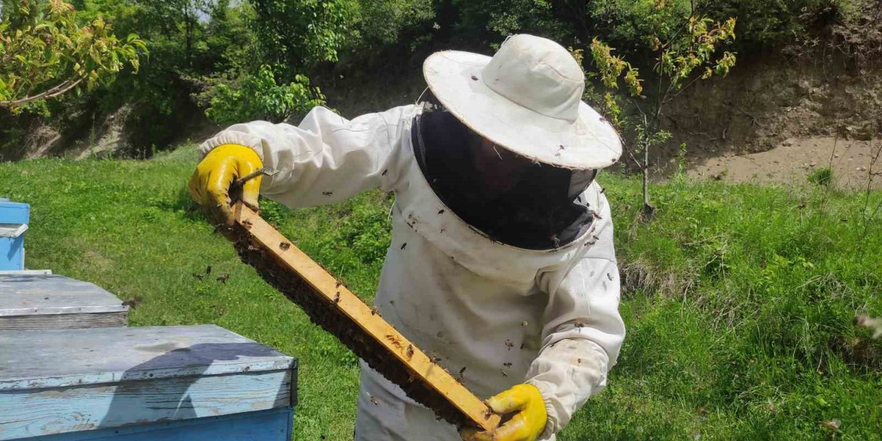 Ardahan’da arıcılar yeni sezona hazırlanıyor