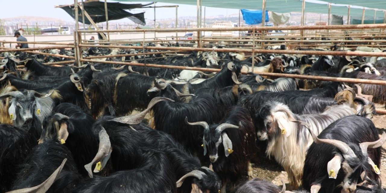 Elazığ’da kurban kesim alanları açıklandı