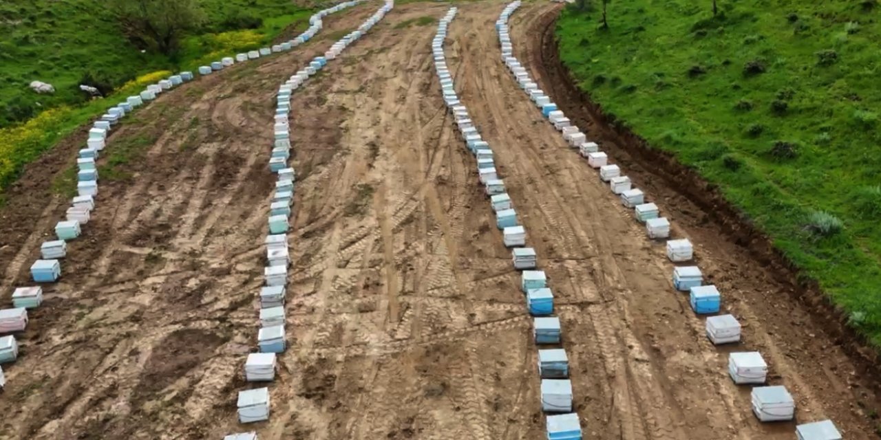 Bitlisli arıcılar yeni sezona hazır