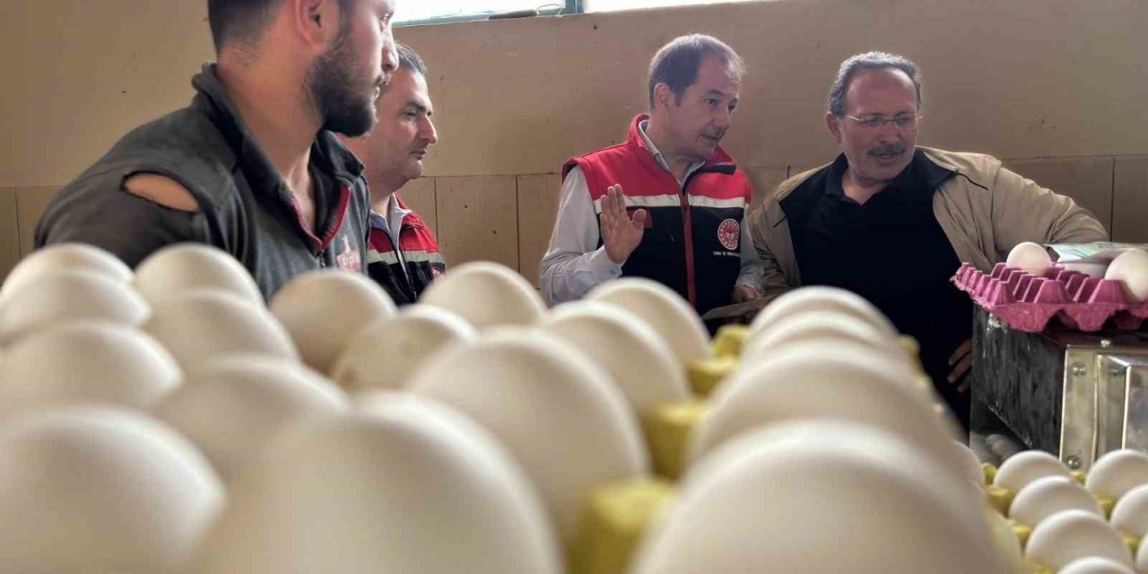 Yumurta tavukçuluğu sektöründe 80 bin adet tavuk bulunan işletmeye ek olarak yeni tesis geliyor