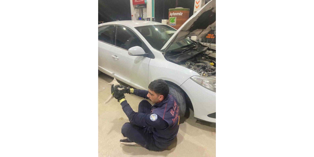 Elazığ’da aracın motor kısmına sıkışan kedi, itfaiye tarafından kurtarıldı