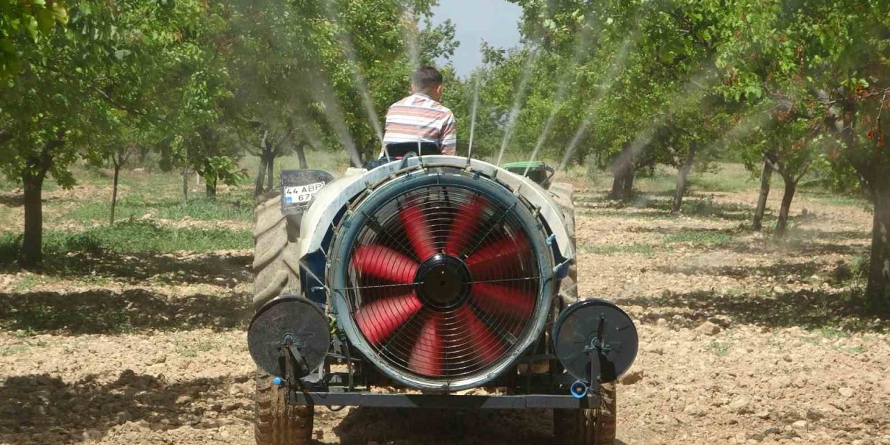 Malatya’da yeniden yeşeren kayısı ağaçları çiftçileri umutlandırdı