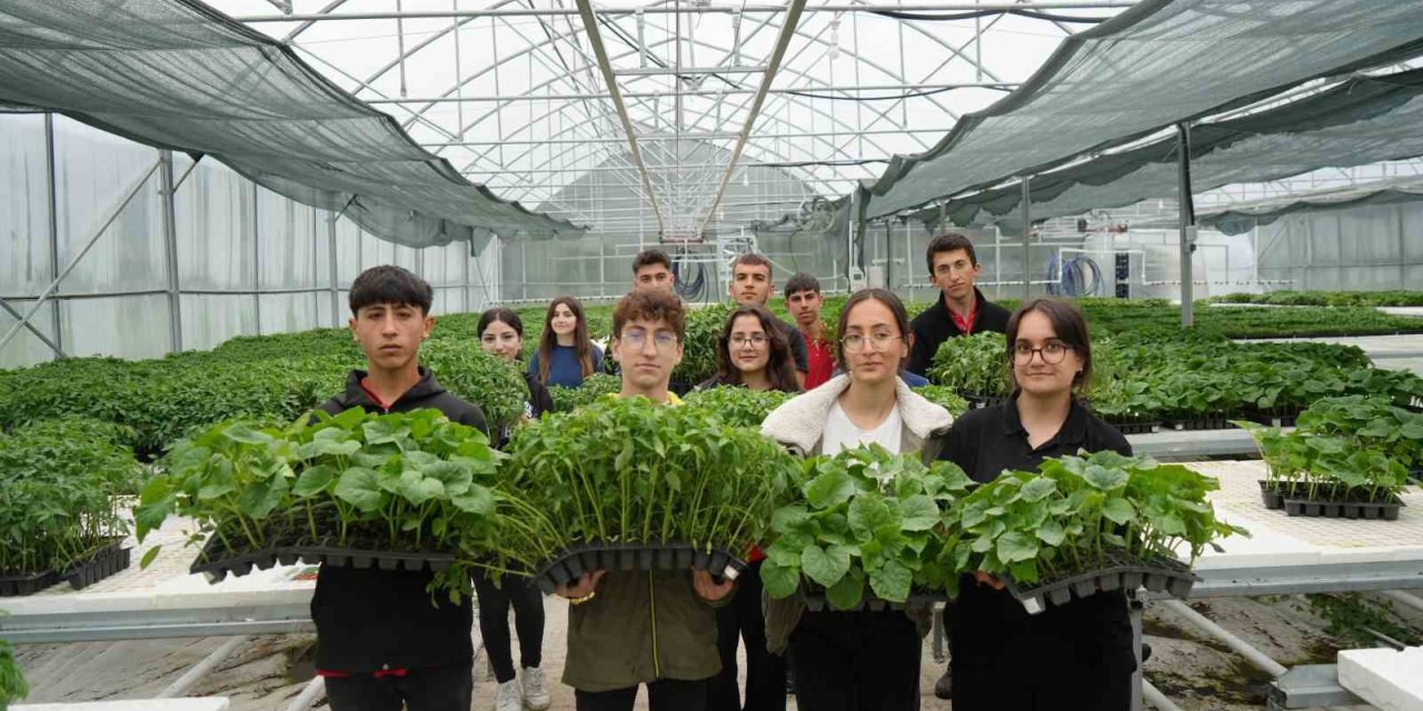 Lise öğrencileri 1 milyon fide üretimi hedefliyor