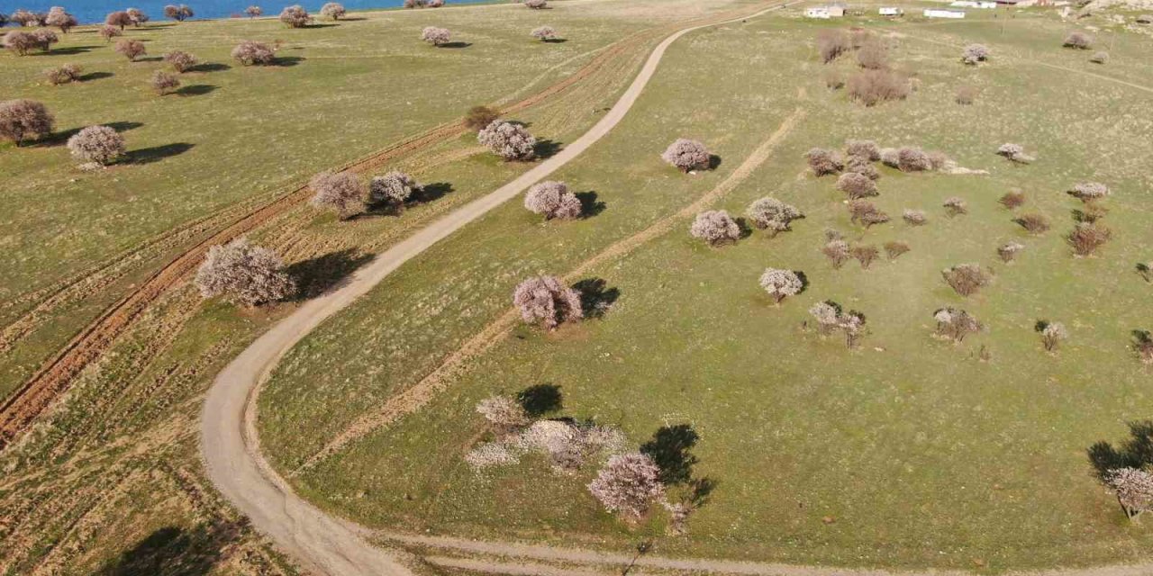 Doğaseverlerin yeni rotası Çarpanak yarımadası