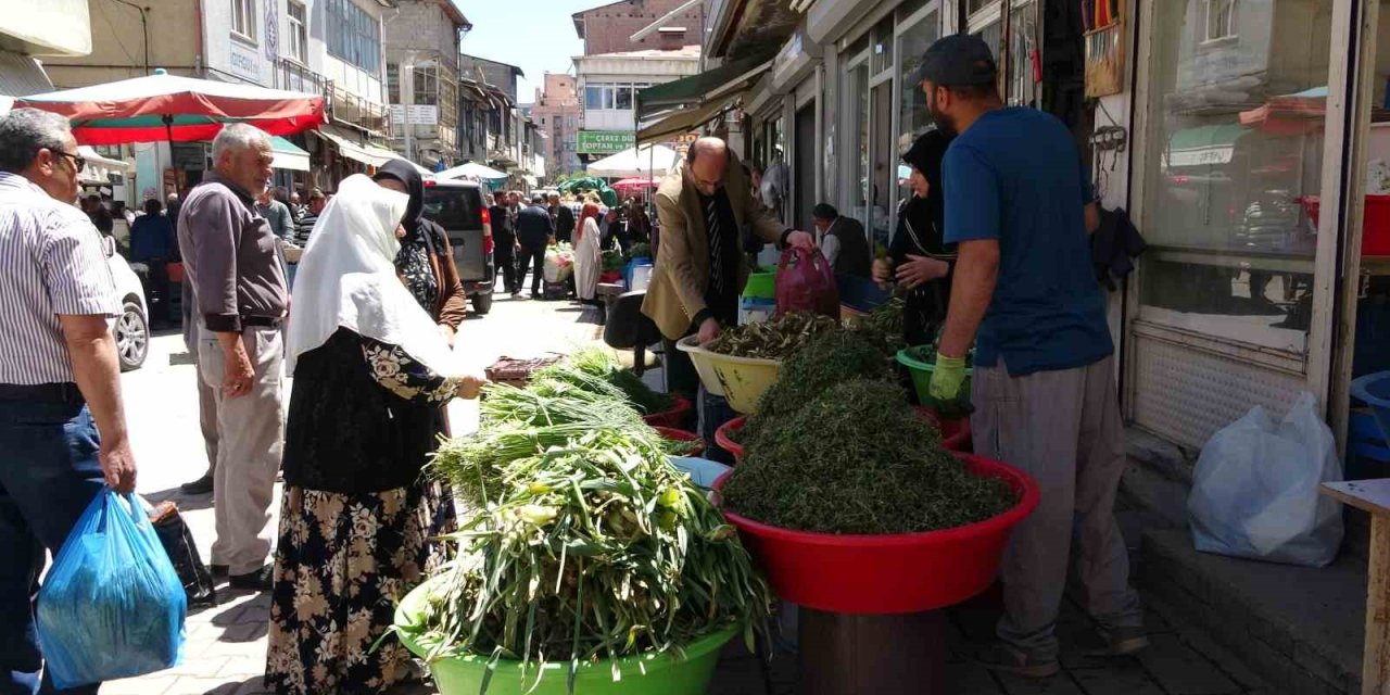Dağlardan toplanan otlar hem şifa hem kazanç sağlıyor