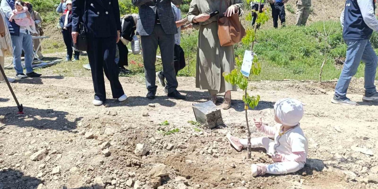 Yeni doğan bebekler hatıra ormanına ilk fidanlar dikildi