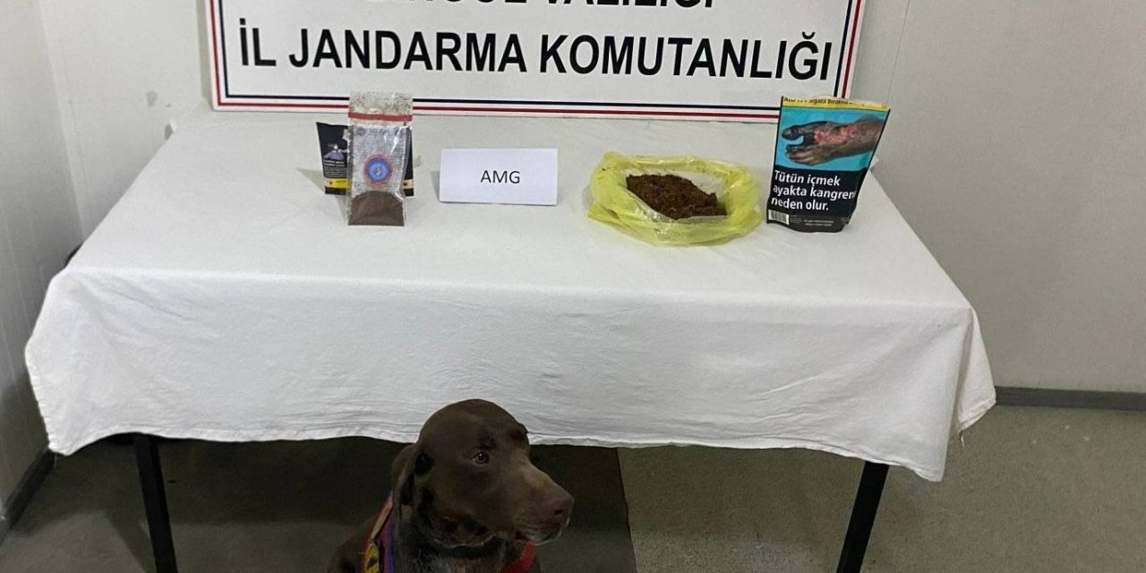 Bingöl’de yolcunun üzerinden bonzai çıktı