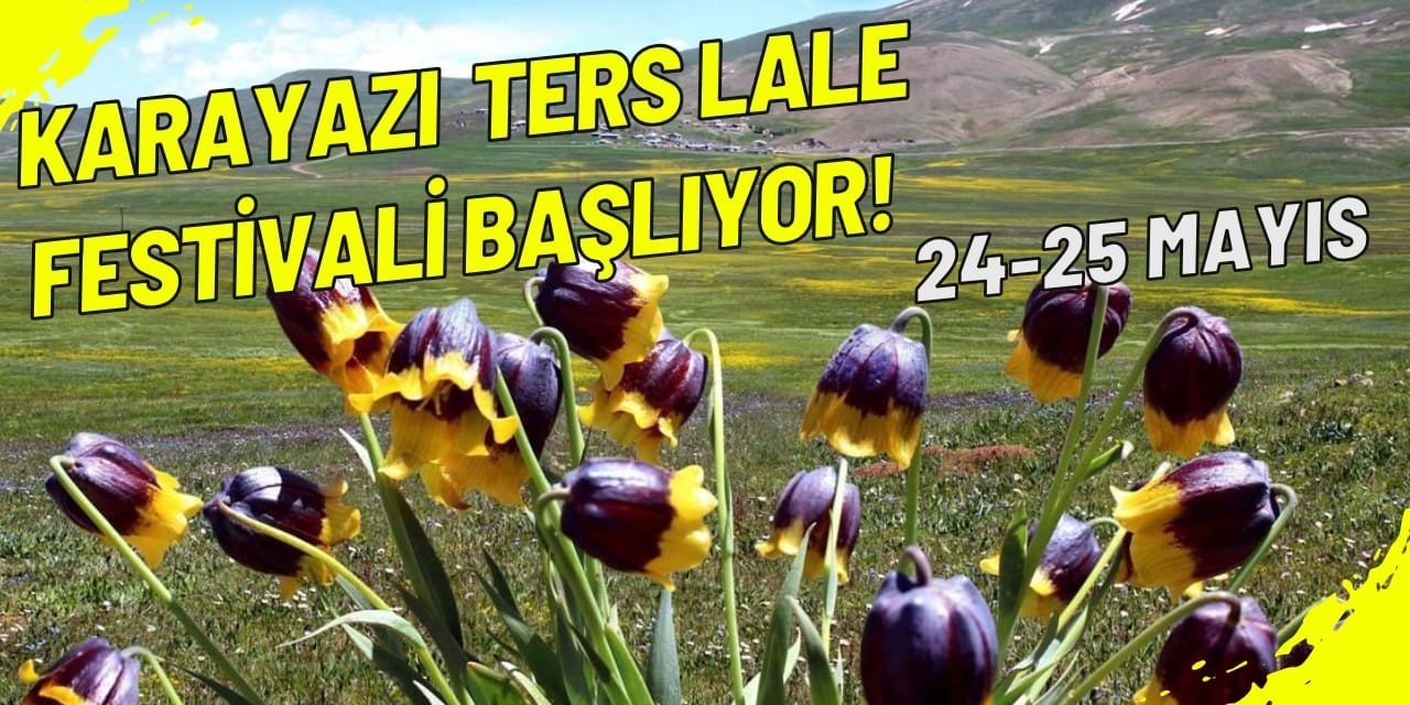 Karayazı ters lale festivali başlıyor;