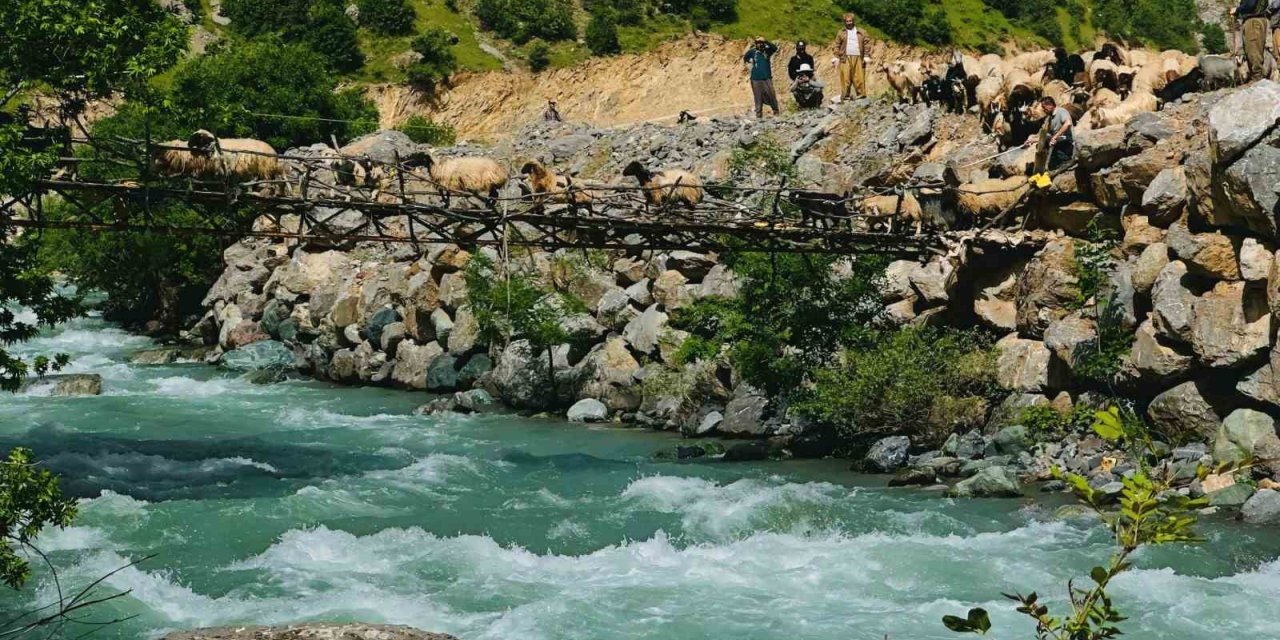 Zorlu coğrafyada hayat mücadelesi: Avaşin Deresi’ndeki asma köprüden geçen koyun sürüsü görenleri hayran bıraktı