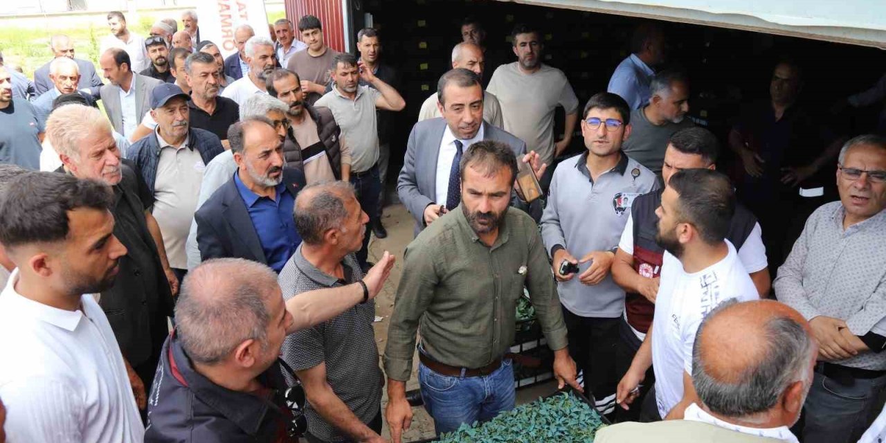 Bingöl’de üreticilere 442 bin sebze fidesi dağıtıldı