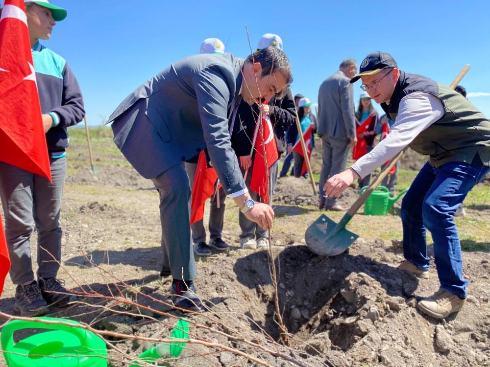 Arpaçay’da meyve fidanları toprakla buluştu