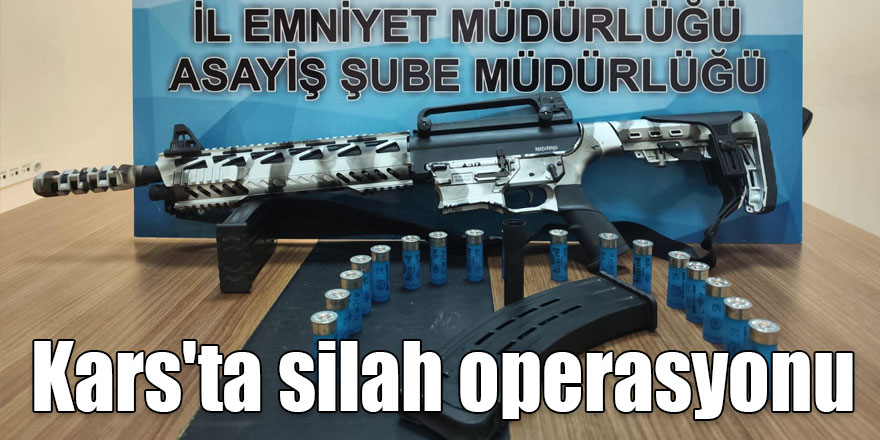 Kars'ta silah operasyonu