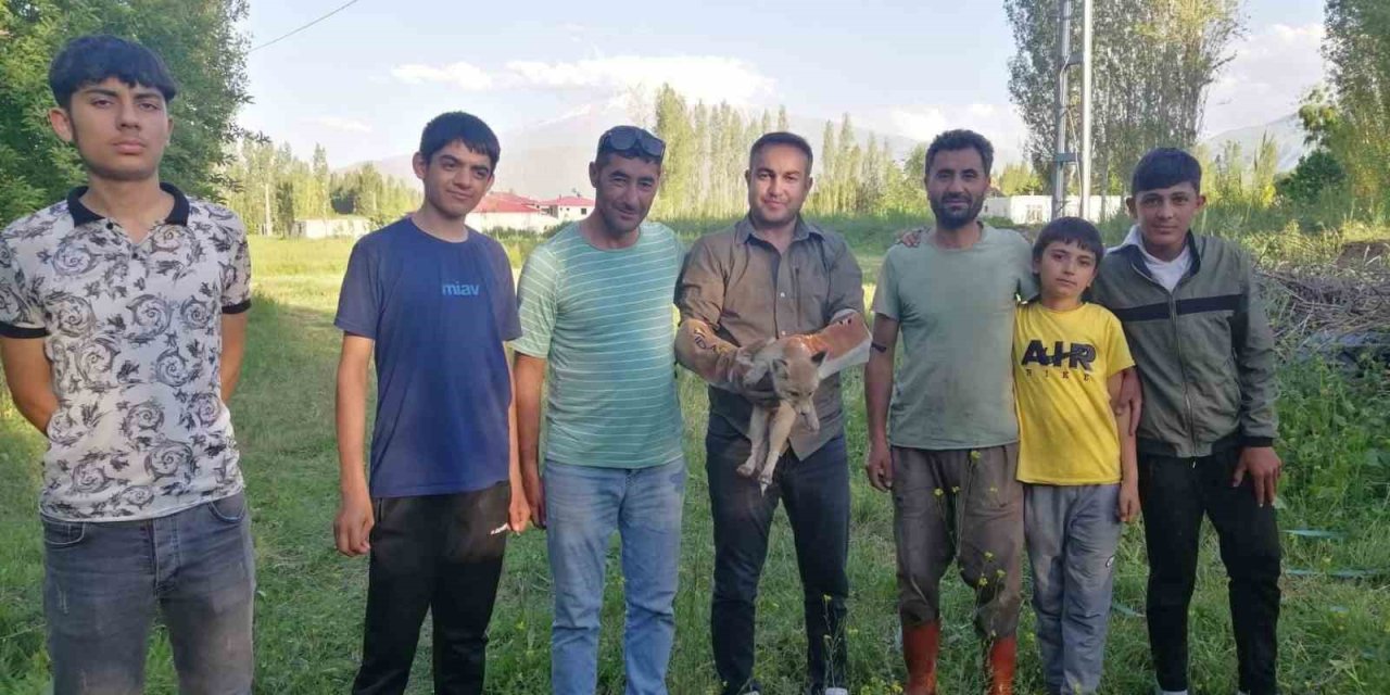 Iğdır’da yardıma muhtaç halde bulunan tilki doğal yaşamına kavuşturuldu
