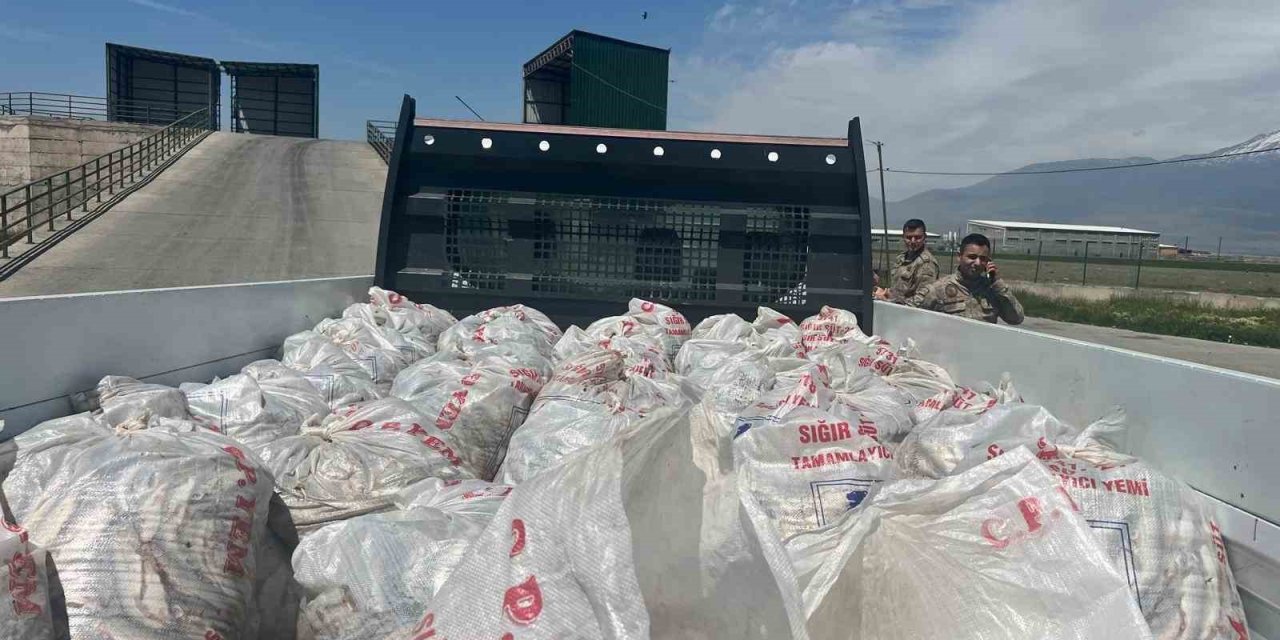 Ağrı’da 2 ton kaçak inci kefali ele geçirildi
