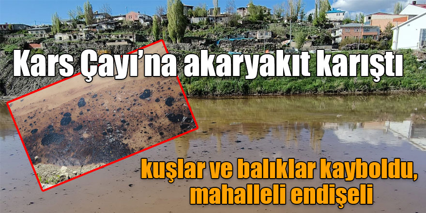 Kars Çayı’na akaryakıt karıştı; kuşlar ve balıklar kayboldu, mahalleli endişeli