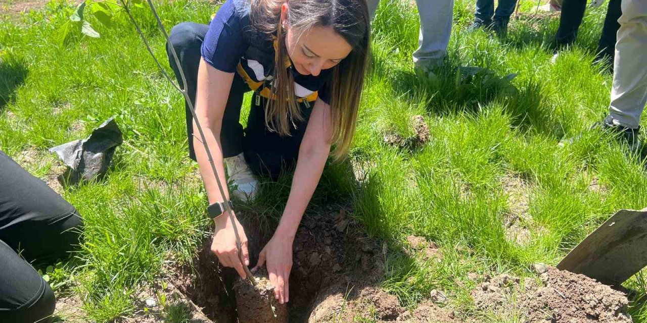 Ağrı’da "Cilt Kanseri Farkındalık Ayı" kapsamında fidan dikimi etkinliği düzenlendi